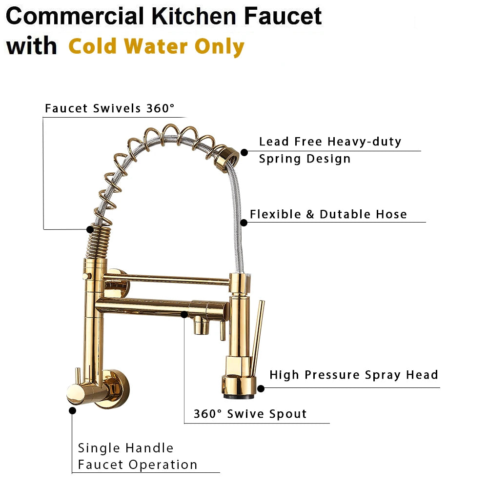 Golden Spring Kitchen Faucet Swivel Side Sprayer Dual Spout Kitchen Tap Kitchen Sink Cold Water Faucet 360 Rotation