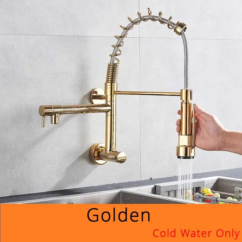 Golden Spring Kitchen Faucet Swivel Side Sprayer Dual Spout Kitchen Tap Kitchen Sink Cold Water Faucet 360 Rotation