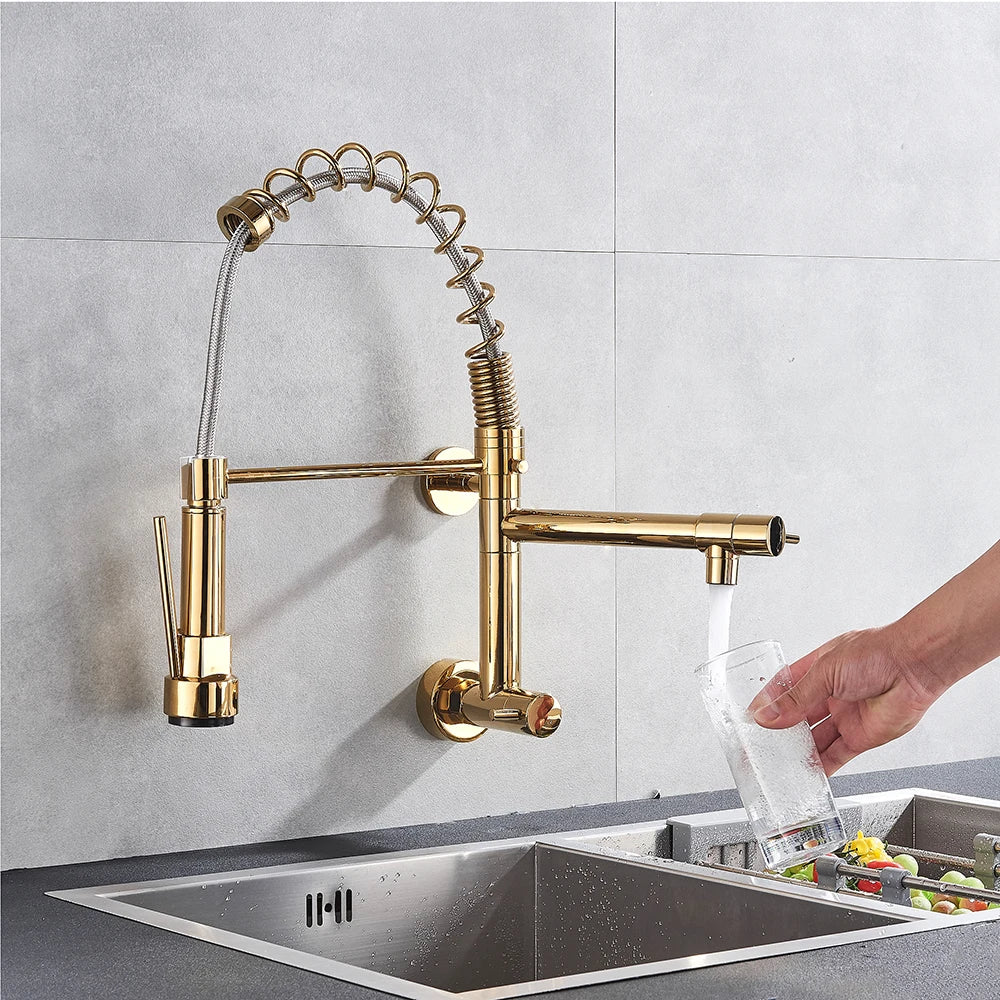 Golden Spring Kitchen Faucet Swivel Side Sprayer Dual Spout Kitchen Tap Kitchen Sink Cold Water Faucet 360 Rotation