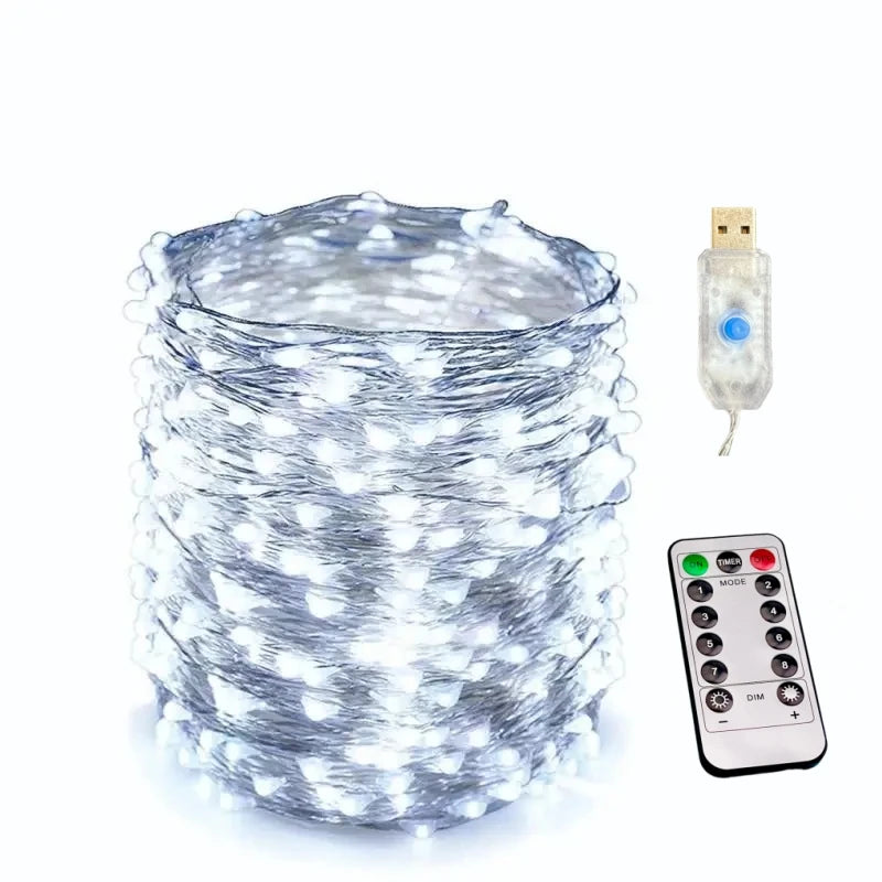 USB Led String Light 5M/10M/20M/30M 8Mode Remote Control Lights Fairy garlands Wedding Christmas Holiday Decor lamps New Year