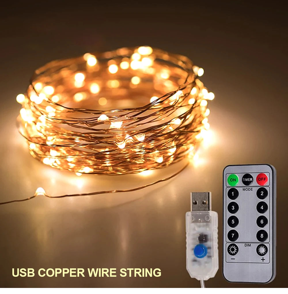 New Year Christmas Decoration Holiday Fairy Lamp Copper Wire USB Led Indoor Home Decor Warm White RGB String With Remote Control