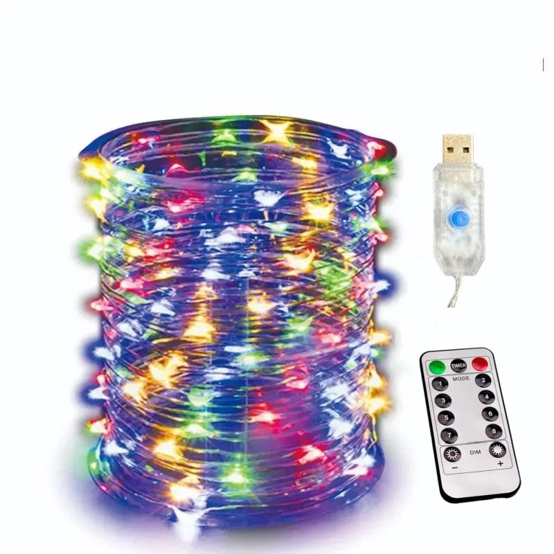 USB Led String Light 5M/10M/20M/30M 8Mode Remote Control Lights Fairy garlands Wedding Christmas Holiday Decor lamps New Year